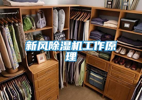 新風好色先生在线播放工作原理