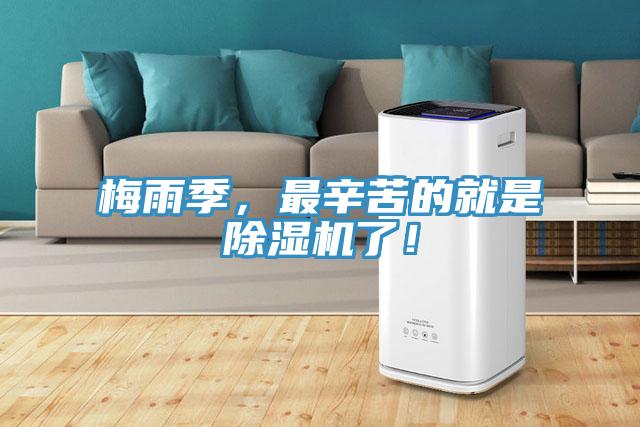 梅雨季,最辛苦的就是好色先生在线播放了!