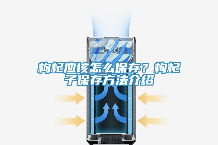 枸杞應該怎麽保存?枸杞子保存方法介紹