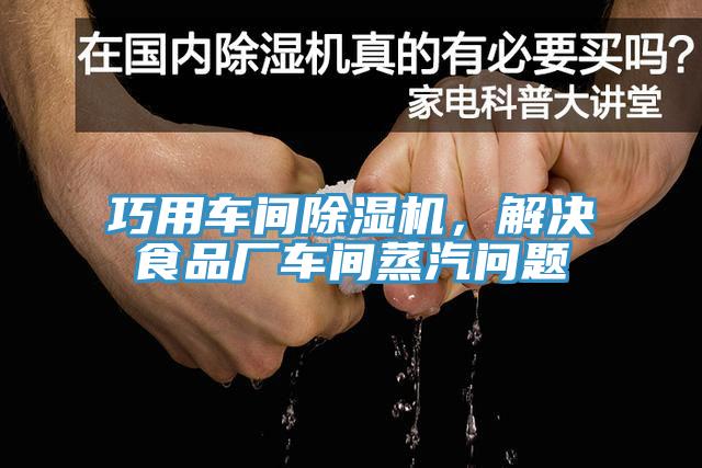 巧用車間好色先生在线播放，解決食品廠車間蒸汽問題