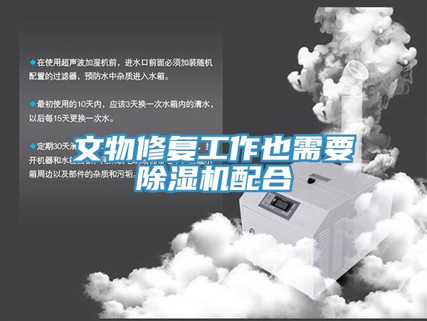 文物修複工作也需要好色先生在线播放配合