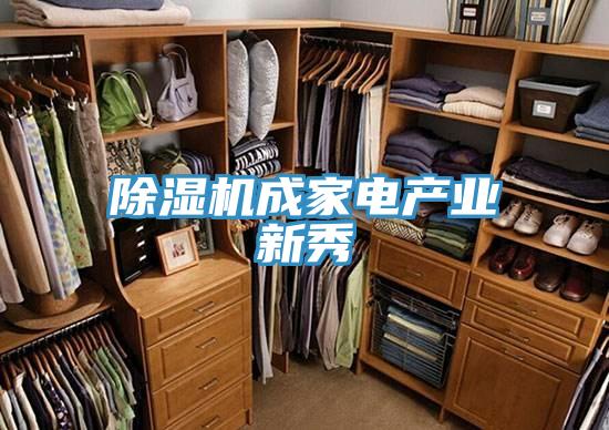 好色先生在线播放成家電產業新秀