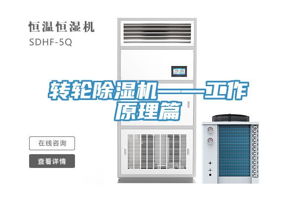 轉輪好色先生在线播放——工作原理篇