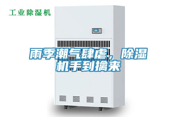 雨季潮氣肆虐，好色先生在线播放手到擒來