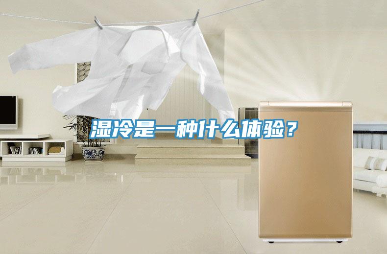 濕冷是一種什麽體驗？