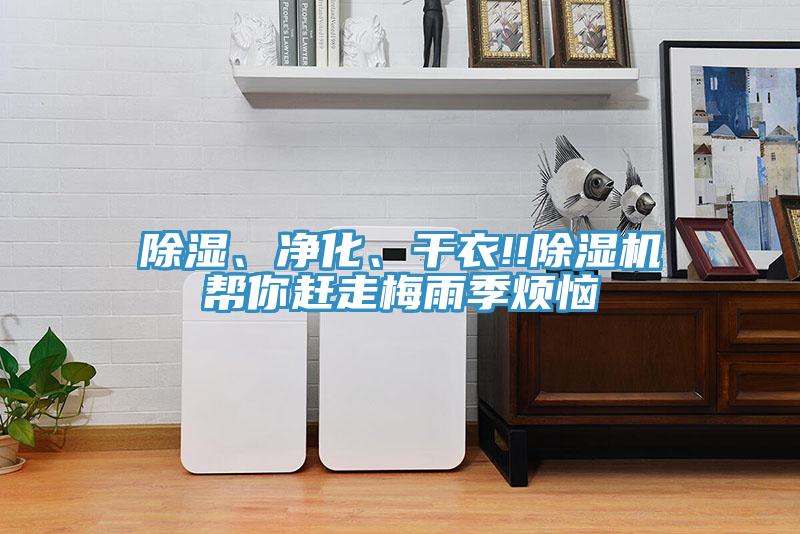 除濕、淨化、幹衣!!好色先生在线播放幫你趕走梅雨季煩惱