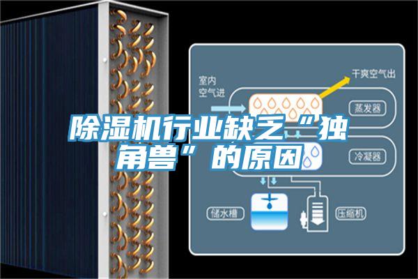 好色先生在线播放行業缺乏“獨角獸”的原因