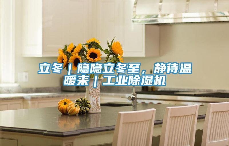 立冬｜隱隱立冬至，靜待溫暖來｜工業好色先生在线播放