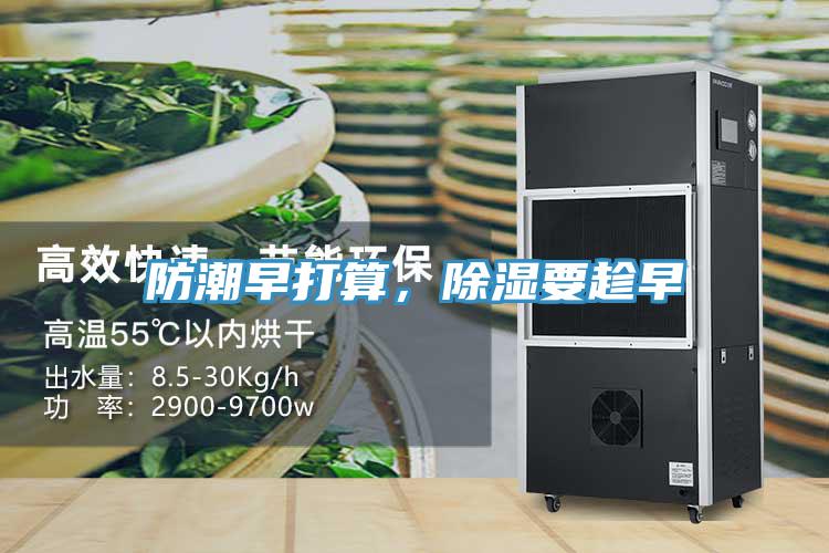 防潮早打算，除濕要趁早