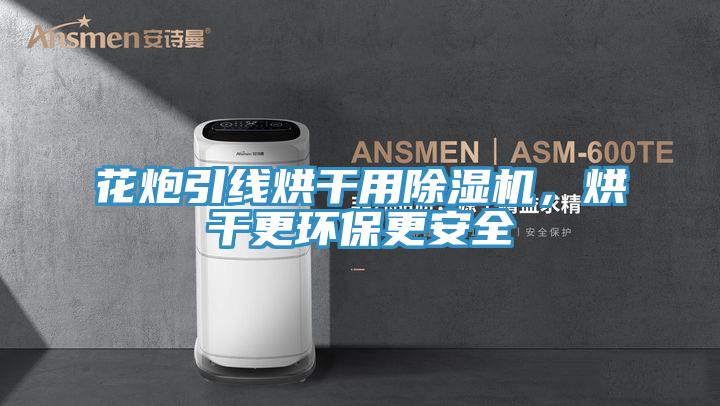 花炮引線烘幹用好色先生在线播放，烘幹更環保更安全