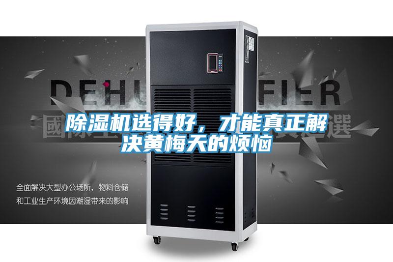 好色先生在线播放選得好，才能真正解決黃梅天的煩惱