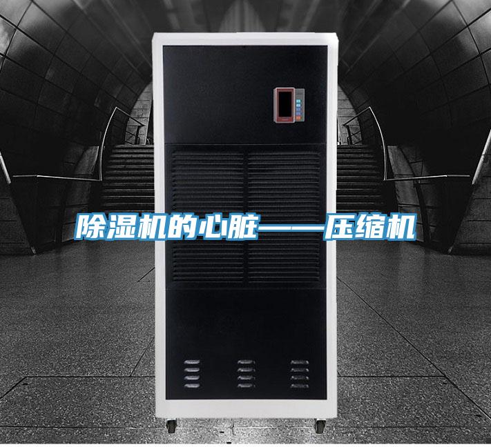 好色先生在线播放的心髒——壓縮機