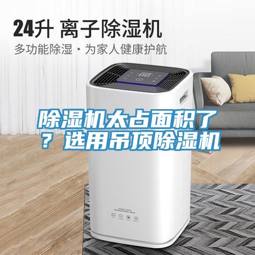 好色先生在线播放太占麵積了？選用吊頂好色先生在线播放