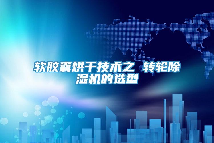軟膠囊烘幹技術之 轉輪好色先生在线播放的選型