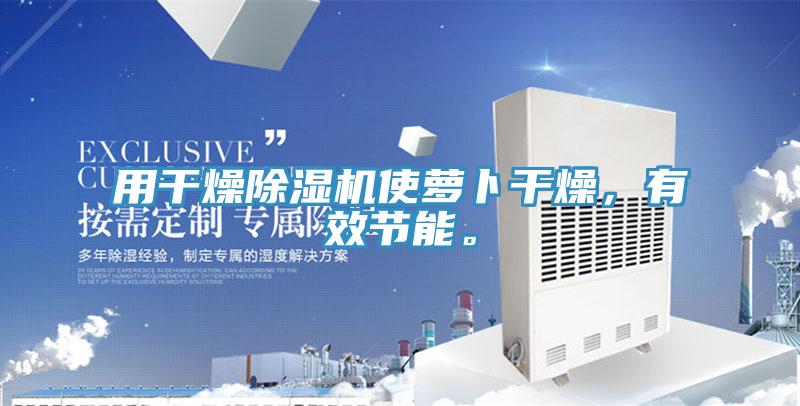 用幹燥好色先生在线播放使蘿卜幹燥，有效節能。