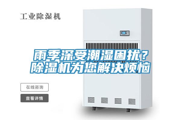 雨季深受潮濕困擾？好色先生在线播放為您解決煩惱