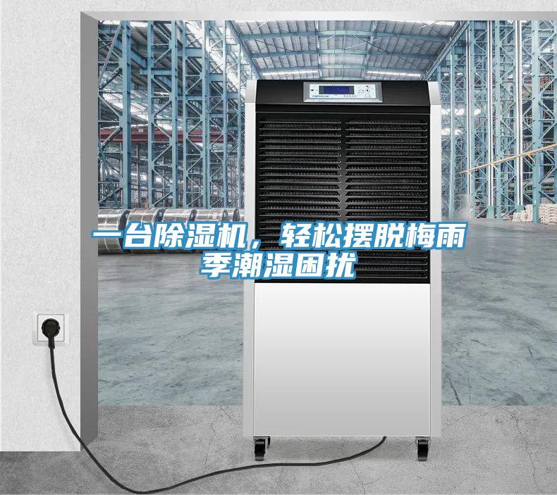 一台好色先生在线播放，輕鬆擺脫梅雨季潮濕困擾