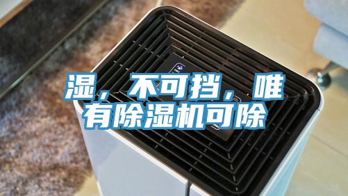 濕，不可擋，唯有好色先生在线播放可除