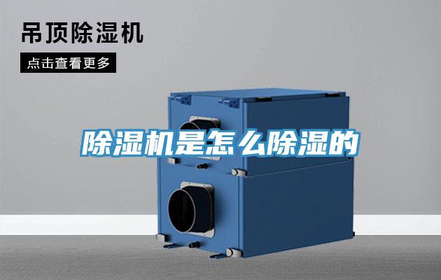 好色先生在线播放是怎麽除濕的