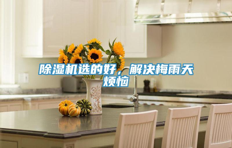 好色先生在线播放選的好，解決梅雨天煩惱