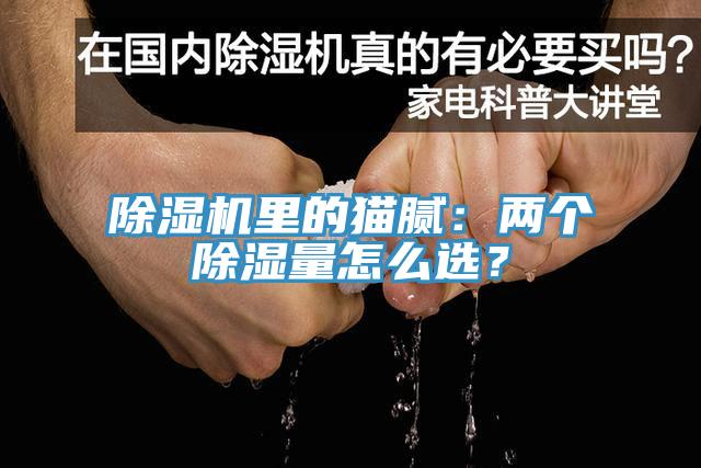 好色先生在线播放裏的貓膩：兩個除濕量怎麽選？
