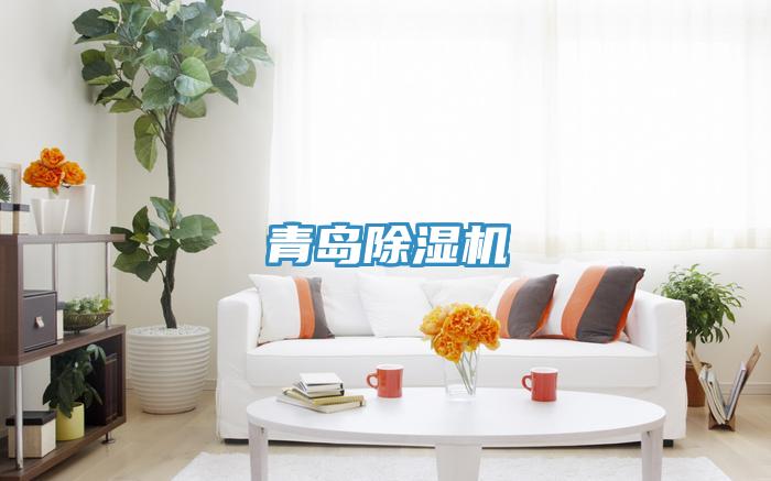 青島好色先生在线播放