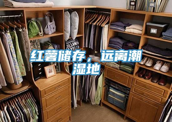 紅薯儲存，遠離潮濕地