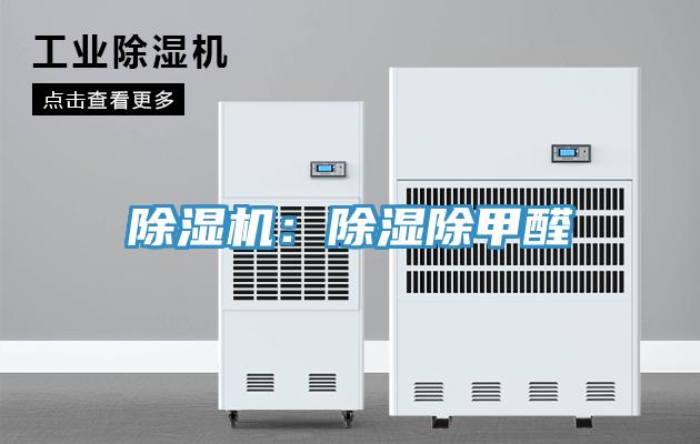 好色先生在线播放：除濕除甲醛