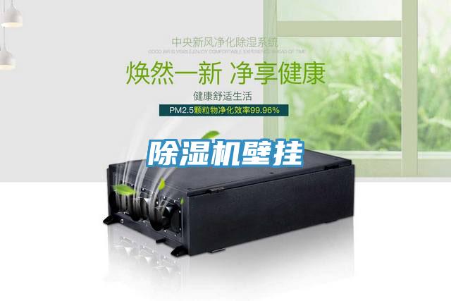 好色先生在线播放壁掛