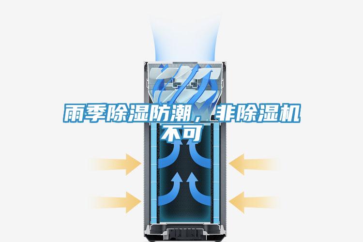 雨季除濕防潮，非好色先生在线播放不可