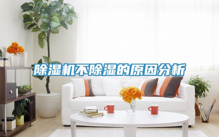 好色先生在线播放不除濕的原因分析