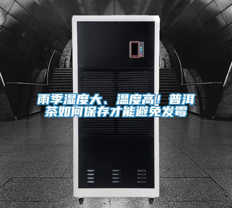 雨季濕度大、溫度高!普洱茶如何保存才能避免發黴