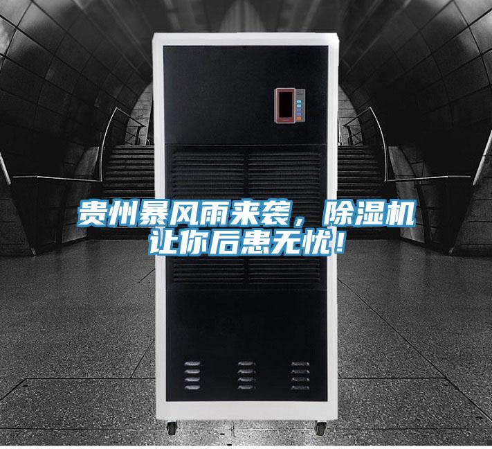 貴州暴風雨來襲，好色先生在线播放讓你後患無憂！