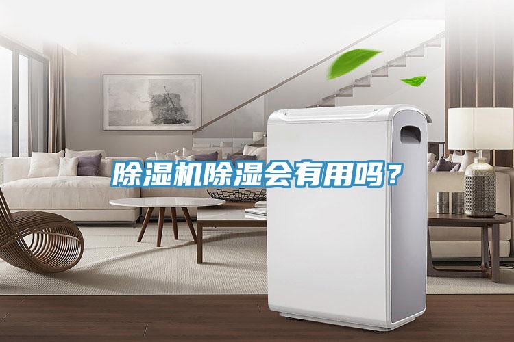 好色先生在线播放除濕會有用嗎？