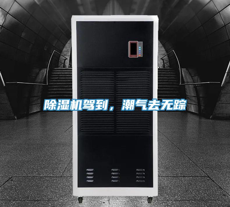 好色先生在线播放駕到，潮氣去無蹤