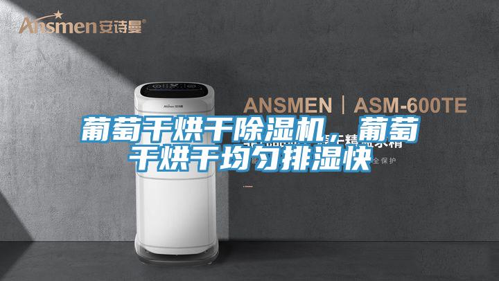 葡萄幹烘幹好色先生在线播放,葡萄幹烘幹均勻排濕快