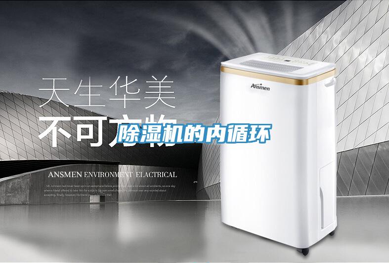 好色先生在线播放的內循環