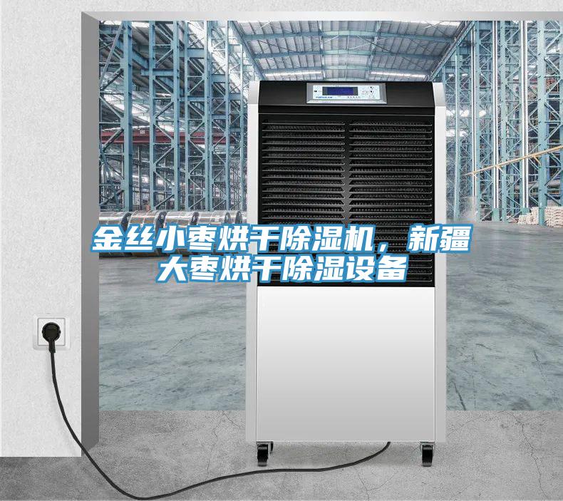 金絲小棗烘幹好色先生在线播放，新疆大棗烘幹除濕設備