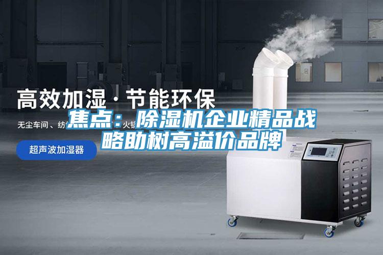 焦點：好色先生在线播放企業精品戰略助樹高溢價品牌