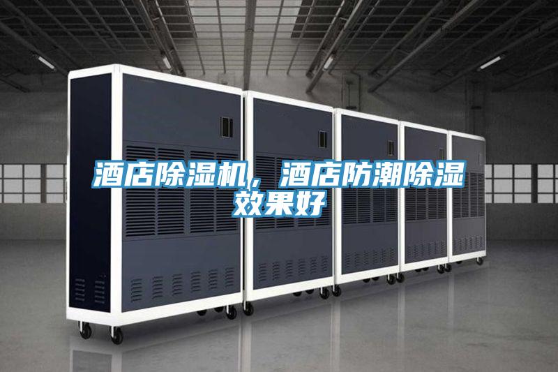 酒店好色先生在线播放,酒店防潮除濕效果好