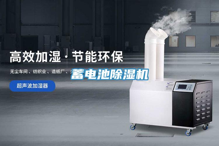 蓄電池好色先生在线播放