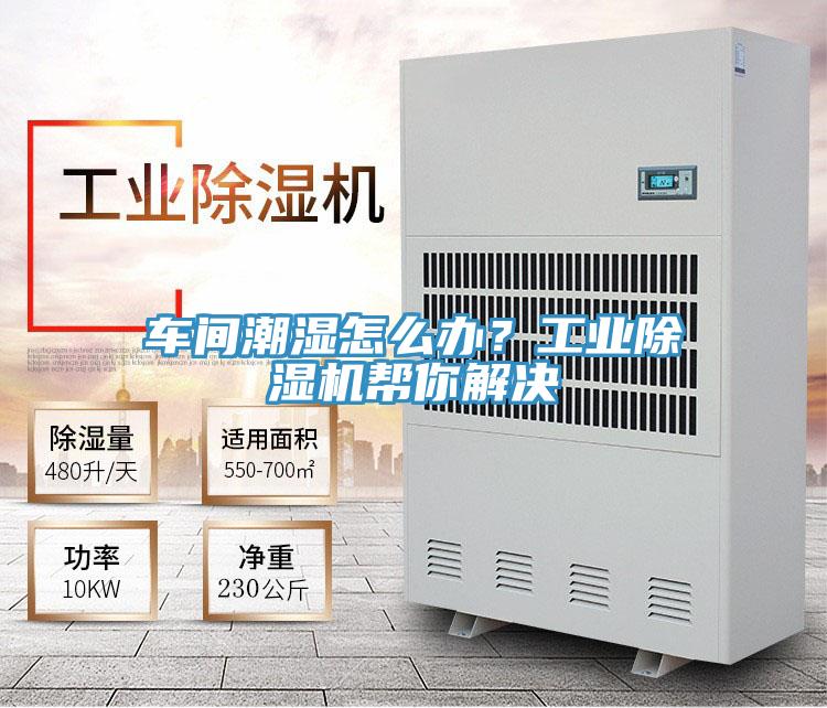 車間潮濕怎麽辦?工業好色先生在线播放幫你解決