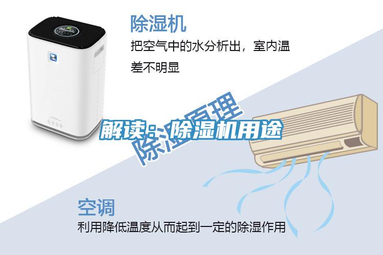 解讀:好色先生在线播放用途