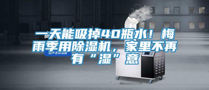 一天能吸掉40瓶水！梅雨季用好色先生在线播放，家裏不再有“濕”意