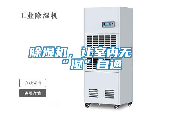 好色先生在线播放，讓室內無“濕”自通