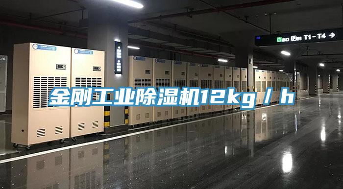 金剛工業好色先生在线播放12kg/h