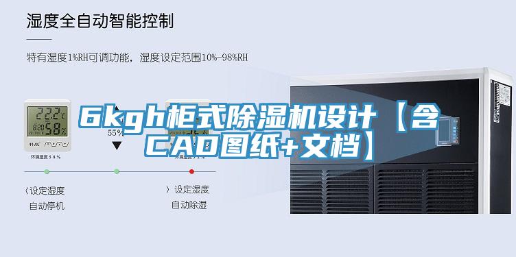 6kgh櫃式好色先生在线播放設計【含CAD圖紙+文檔】