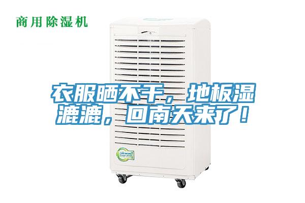 衣服曬不幹,地板濕漉漉,回南天來了!