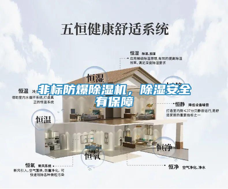 非標防爆好色先生在线播放，除濕安全有保障