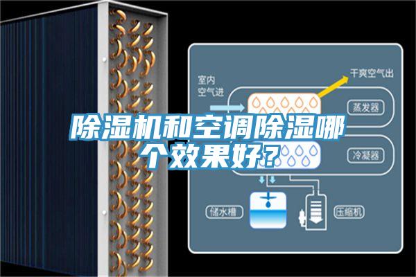 好色先生在线播放和空調除濕哪個效果好?